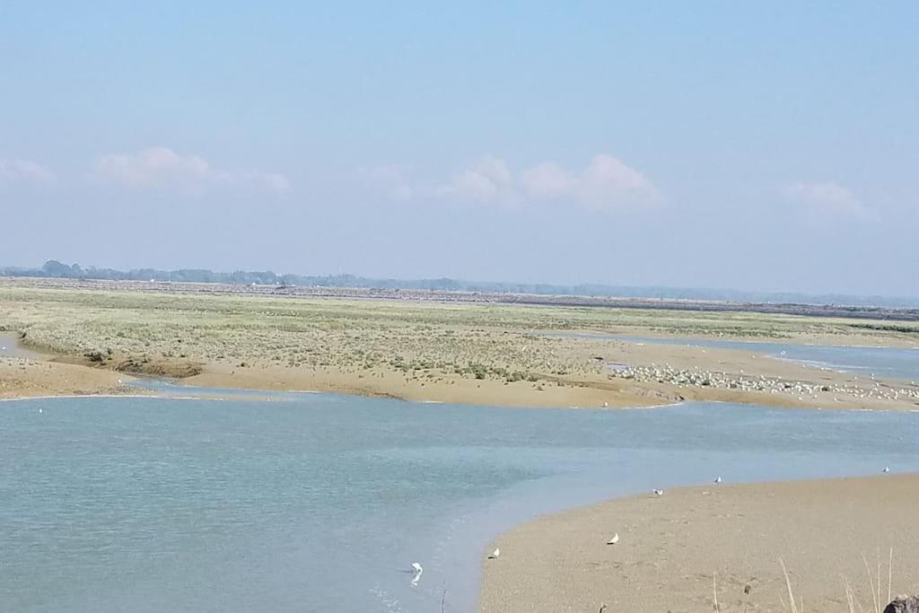 Superbe Studio Au Crotoy Acces Direct Plage 勒克罗图瓦 外观 照片